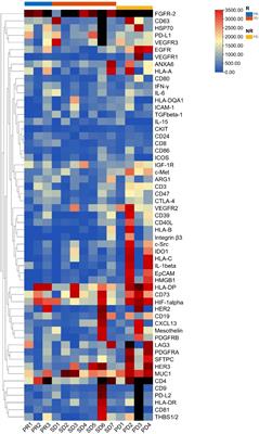 Efficacy and safety of immunotherapy combined with single-agent chemotherapy as second- or later-line therapy for metastatic non-small cell lung cancer